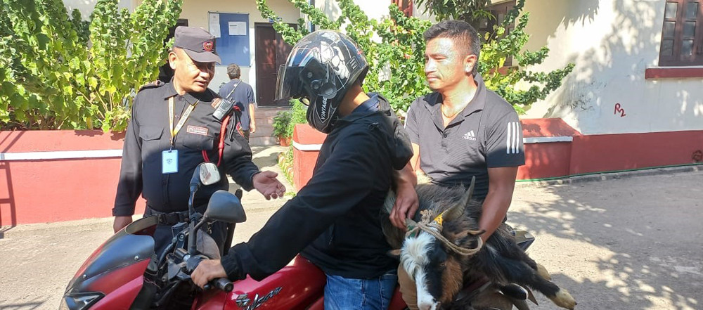 खाद्य कम्पनीमा सस्तो र स्वस्थ खसीबोका तथा उपभोग्य सामग्री पाउँदा उपभोक्ता मख्ख