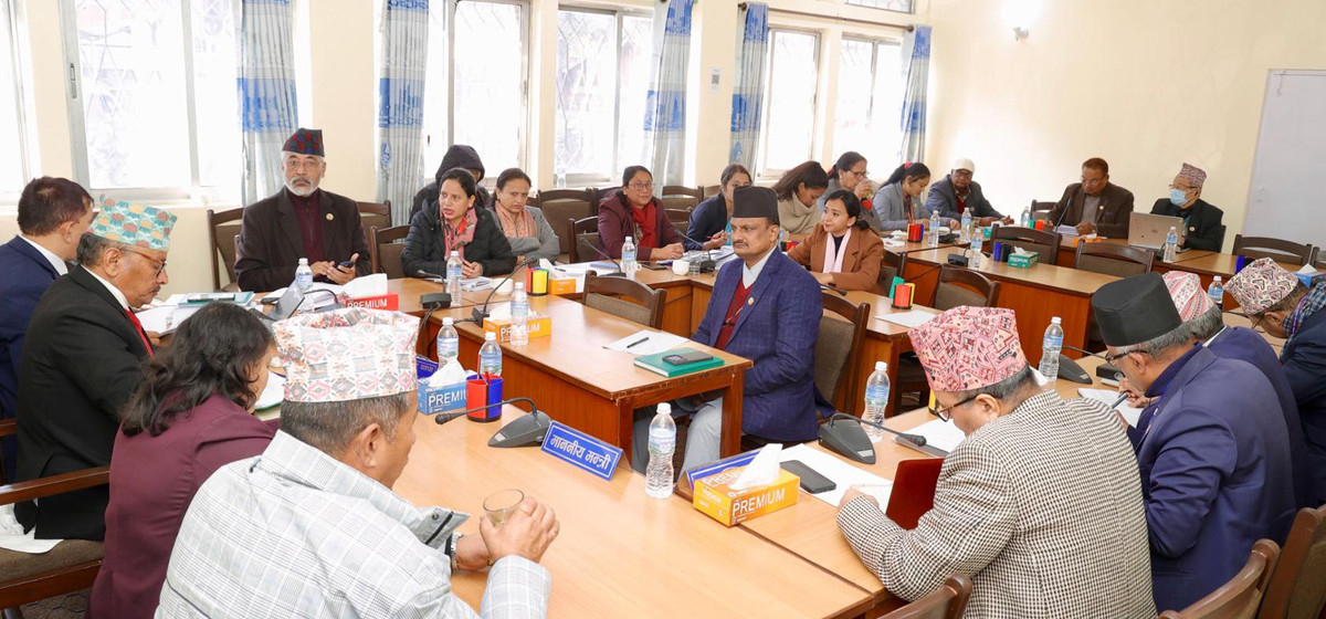 त्रिविको जग्गा तथा सम्पत्ति छानविन समितिको प्रतिवेदन सार्वजनिक गर्न निर्देशन