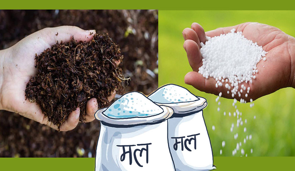 साल्ट ट्रेडिङ कर्पोरेसन झापामा २२८ मेट्रिक टन रासायनिक मल मौज्दात